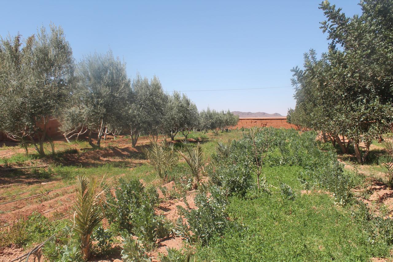 Dar Alfourssane Ferme D'Hote Ouarzazate Eksteriør bilde