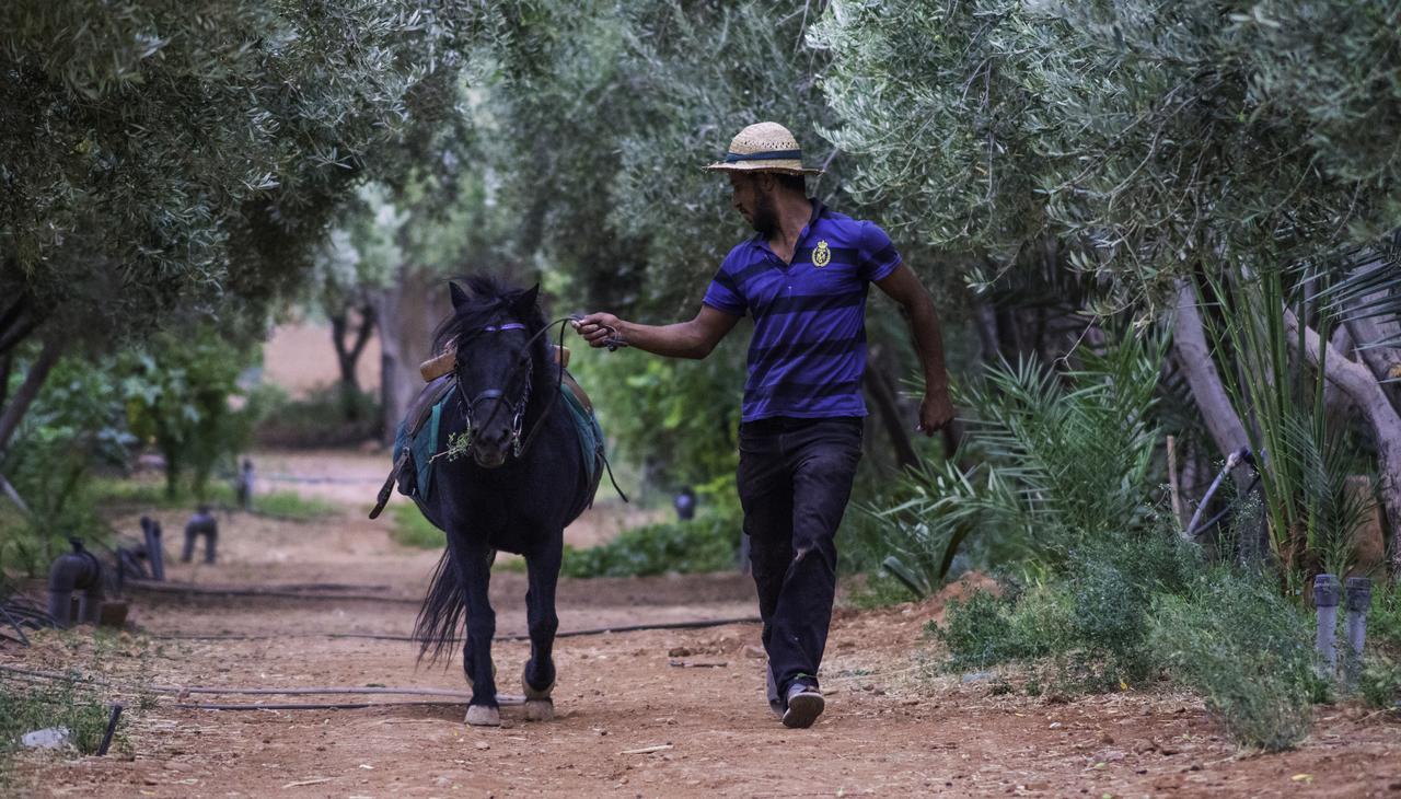 Dar Alfourssane Ferme D'Hote Ouarzazate Eksteriør bilde